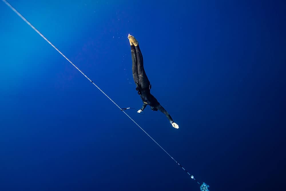 El leon bg 2 – Dillon DeRosa