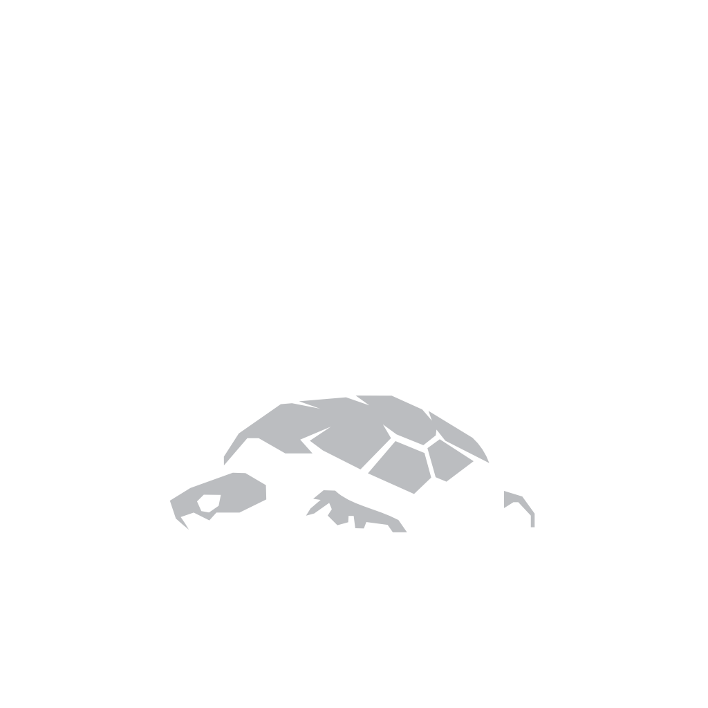 Turtle Rock Valve Studios – Dillon DeRosa