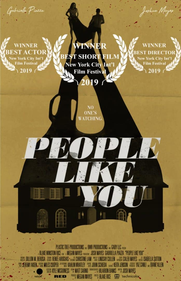PLY Movie Poster AWARDS CONVERTED 50 – Dillon DeRosa