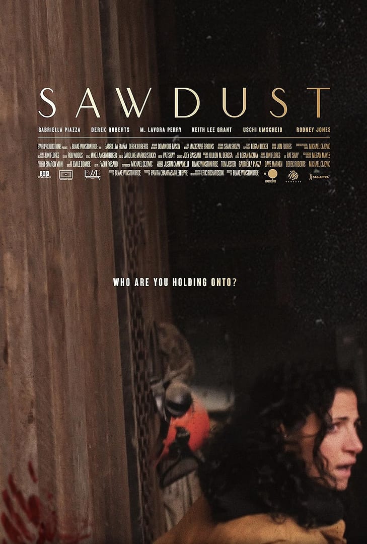 SawDust Poster SawDust Poster – Dillon DeRosa