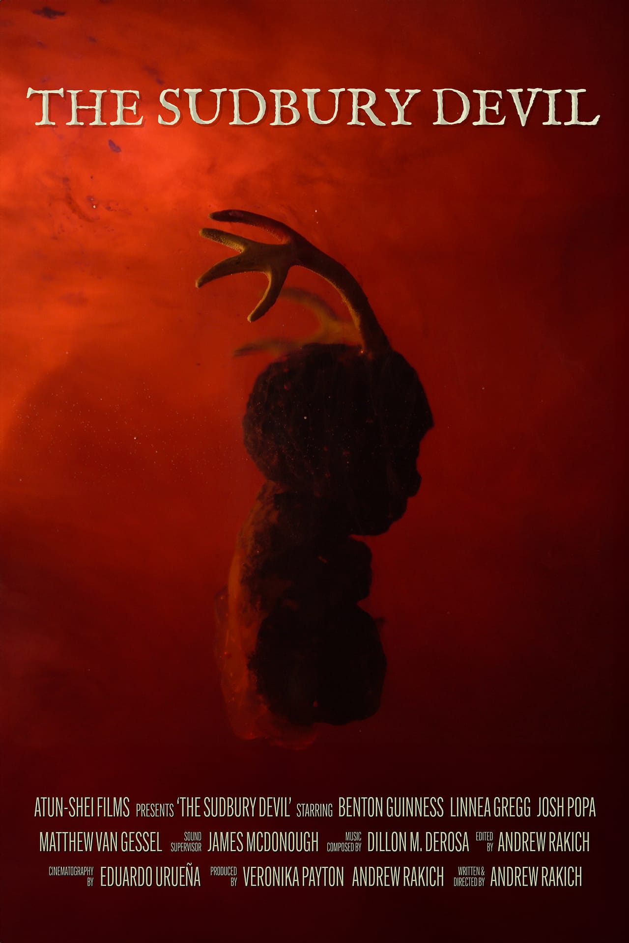 SD Poster 2 DMD – Dillon DeRosa